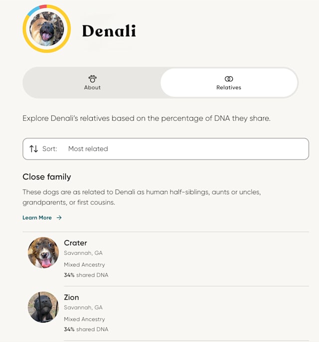 relative finder results for a dog named denali